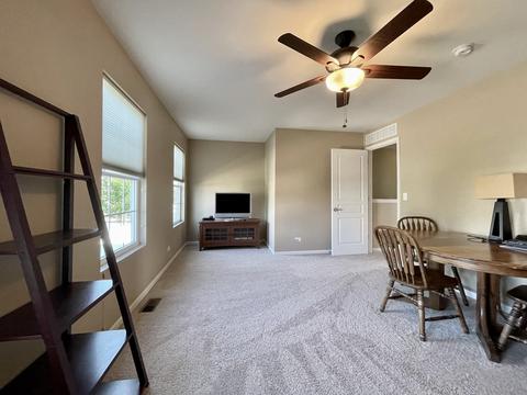 894 Brahms Rd, Volo, IL 60073 photo 12