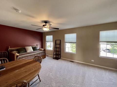 894 Brahms Rd, Volo, IL 60073 photo 13