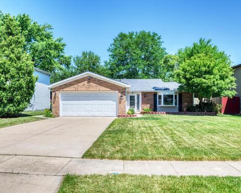 1040 Maplewood Ln, Bartlett, IL 60103 photo 1