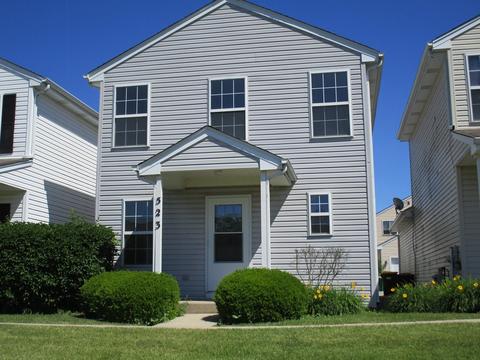 523 Sandy Ct, Harvard, IL 60033 photo 2