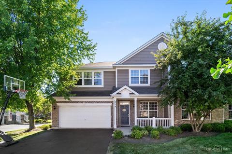 358 Tracy Ln, Elgin, IL 60124 photo 1