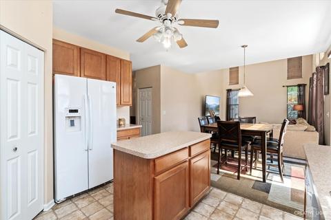 358 Tracy Ln, Elgin, IL 60124 photo 6
