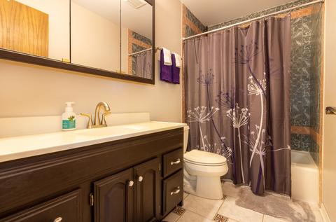 105 N Marion Ave, Bartlett, IL 60103 photo 9