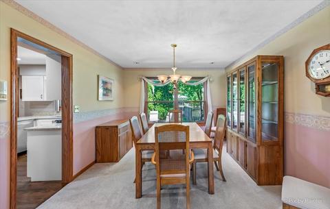809 Shell Ct, Schaumburg, IL 60193 photo 10