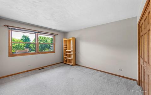 809 Shell Ct, Schaumburg, IL 60193 photo 22