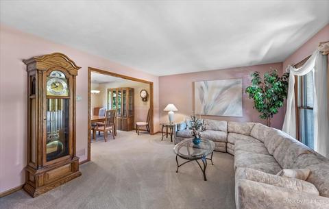 809 Shell Ct, Schaumburg, IL 60193 photo 8