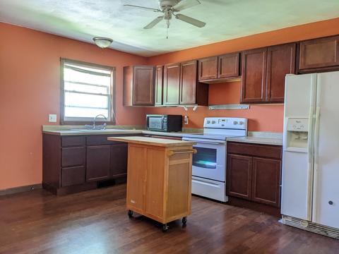 307 S 3rd Ave, Forreston, IL 61030 photo 4