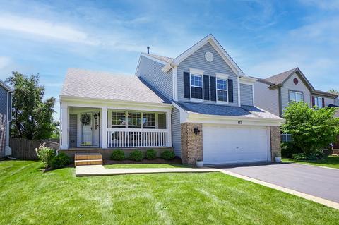 823 Violet Cir, Naperville, IL 60540 photo 1