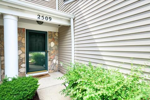 2509 Oak Tree Ln, Plainfield, IL 60586 photo 3