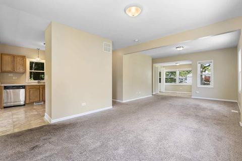 219 E Maple Ave E, Villa Park, IL 60181 photo 21