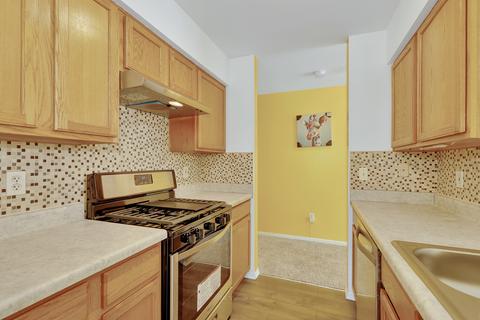 21445 W Georgetown Dr, Plainfield, IL 60544 photo 13