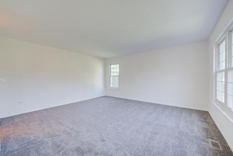 13467 S Silverleaf Rd, Plainfield, IL 60544 photo 17
