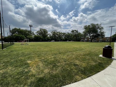 2019 Pine St #D, Des Plaines, IL 60018 photo 19