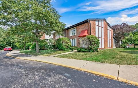 37 Cypress Sq, Elgin, IL 60123 photo 28