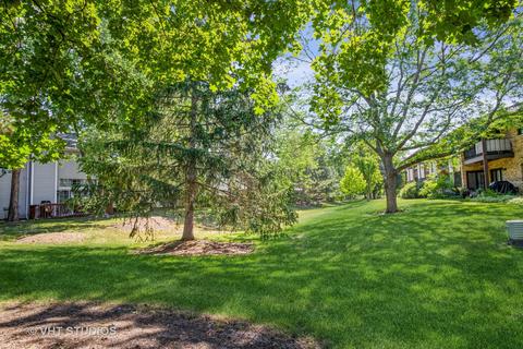 805 N Walnut St #1A, Itasca, IL 60143 photo 17