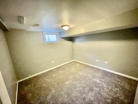 754 S Spring Rd, Elmhurst, IL 60126 photo 23