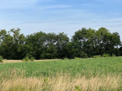 4916 Moraine Trl, Ringwood, IL 60072