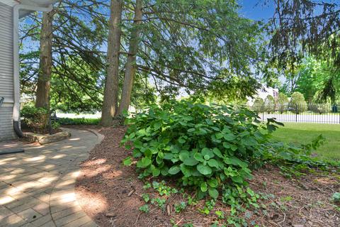 1121 E Monroe St, Bloomington, IL 61701 photo 51