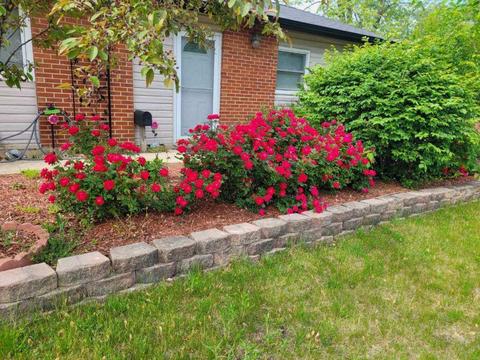 760 Milton Ln, Hoffman Estates, IL 60169 photo 25