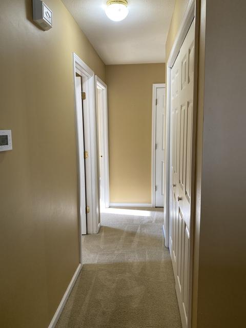 1307 Ogelthorpe Ave, Normal, IL 61761 photo 13