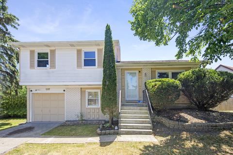 1197 Old Timber Ct, Hoffman Estates, IL 60192 photo 1