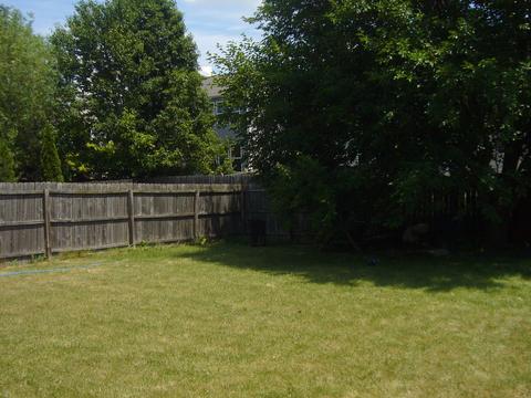 1212 Brookfield Dr, Plainfield, IL 60586 photo 3