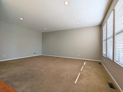 11632 Chesapeake Dr, Plainfield, IL 60585 photo 5