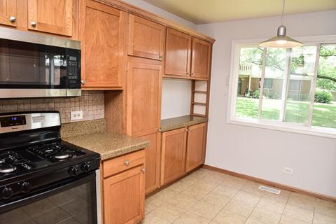 734 Plumtree Ct #D1, Wheeling, IL 60090 photo 11