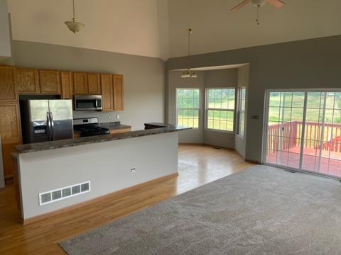 250 Sunset Blvd, Beecher, IL 60401 photo 5