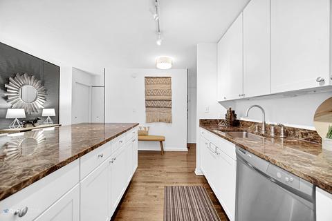 222 E Pearson St #1201, Chicago, IL 60611 photo 9