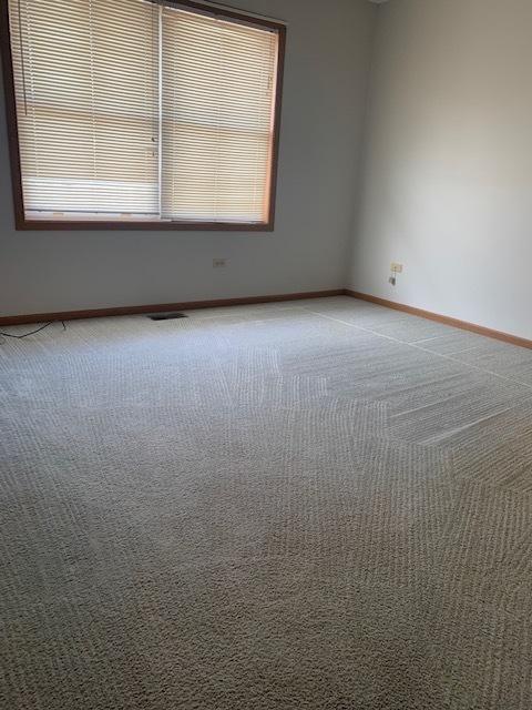 6606 Peyla Ln, Plainfield, IL 60586 photo 10