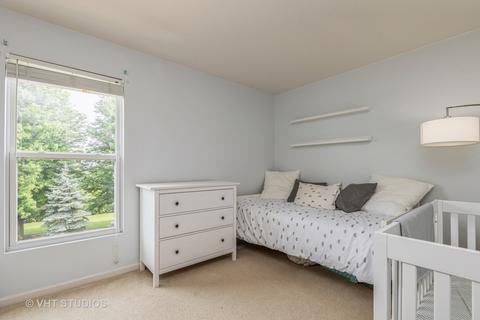 6 Steiner Ct, Algonquin, IL 60102 photo 16