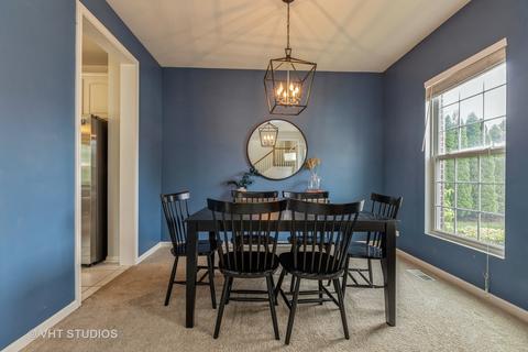 6 Steiner Ct, Algonquin, IL 60102 photo 4