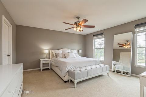 6 Steiner Ct, Algonquin, IL 60102 photo 11