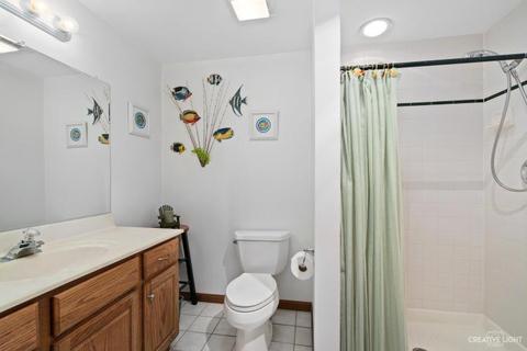 187 Wilcox Dr, Bartlett, IL 60103 photo 26