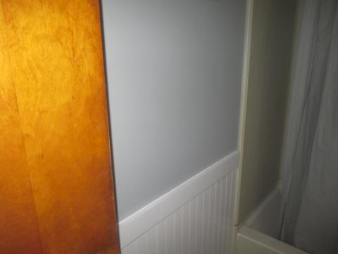 842 Morgan St, Elgin, IL 60123 photo 13