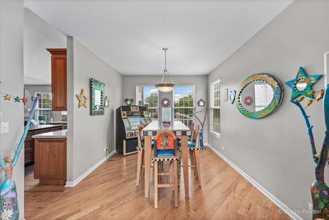 1110 Joseph Cir, Johnsburg, IL 60051 photo 25