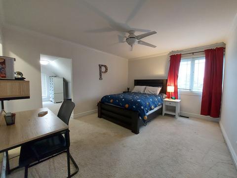 24342 Frances St, Plainfield, IL 60585 photo 21