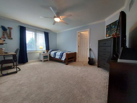 24342 Frances St, Plainfield, IL 60585 photo 19