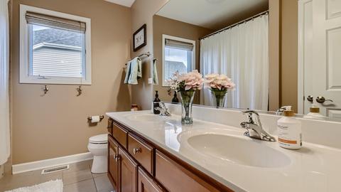 13002 Skyline Dr, Plainfield, IL 60585 photo 20