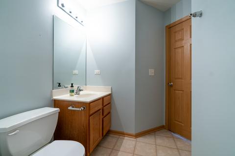 13013 Conifer St, Plainfield, IL 60585 photo 24