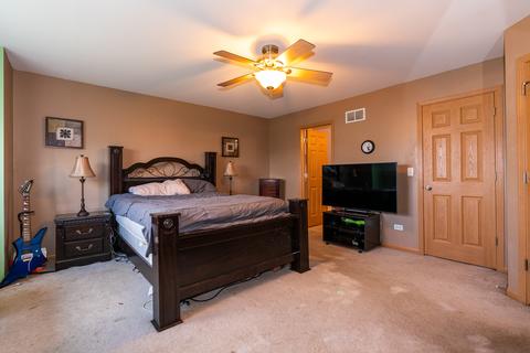 13013 Conifer St, Plainfield, IL 60585 photo 26