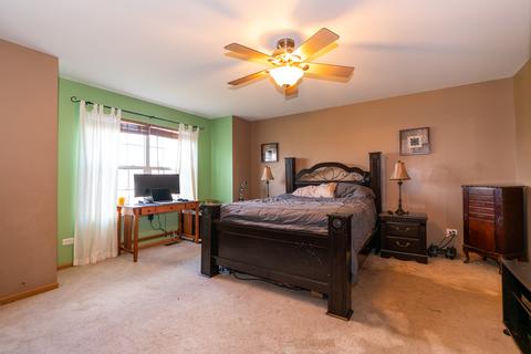 13013 Conifer St, Plainfield, IL 60585 photo 25
