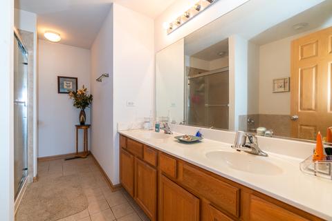 13013 Conifer St, Plainfield, IL 60585 photo 27