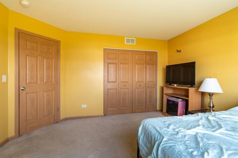 13013 Conifer St, Plainfield, IL 60585 photo 23