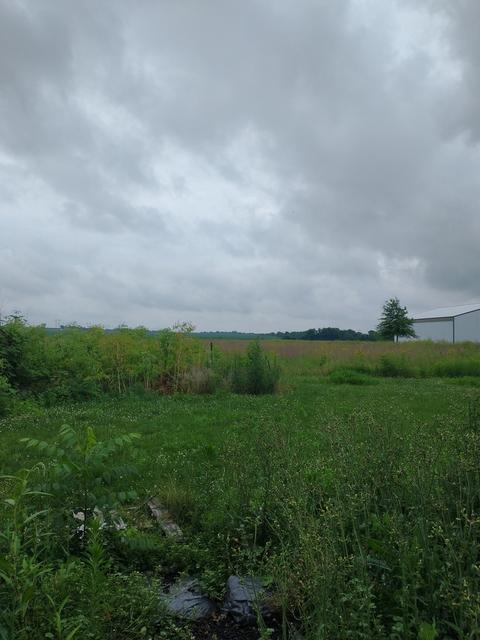 11573 N 2400 East Rd, Downs, IL 61736 photo 10