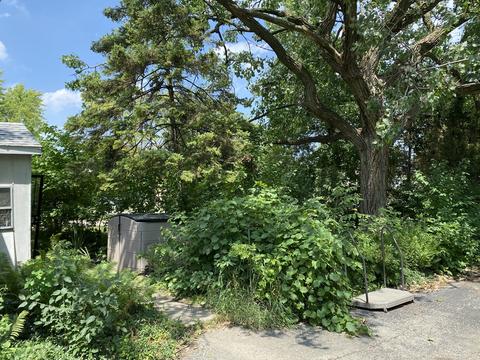 7220 S Octavia Ave, Bridgeview, IL 60455 photo 4