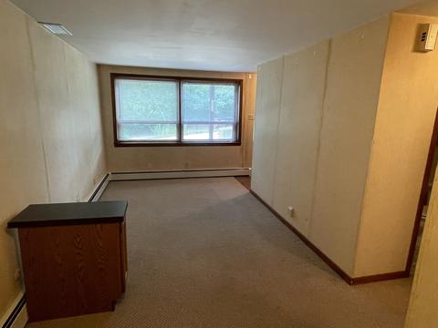 618 Congress St, Elgin, IL 60120 photo 36