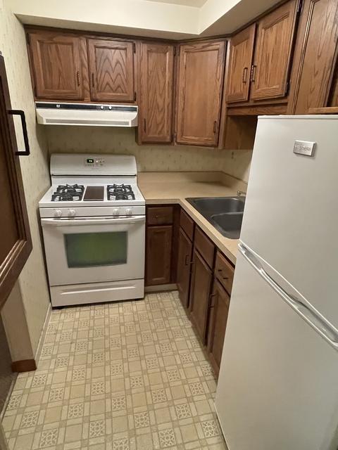 618 Congress St, Elgin, IL 60120 photo 29