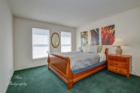 420 Brookside Ave, Algonquin, IL 60102 photo 39